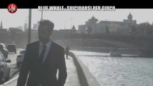 Blue Whale video